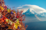 登顶喜马拉雅山顶峰的五大注意事项